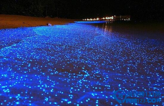 盘点世界上最美的海滩 粉色海滩带来梦幻味道