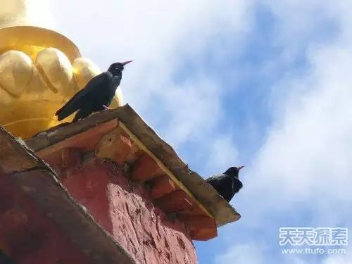 中华境内最神秘之地！令你大开眼界！