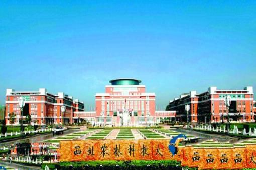 中国大学情怀排行榜30强