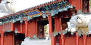 中国大学情怀排行榜30强