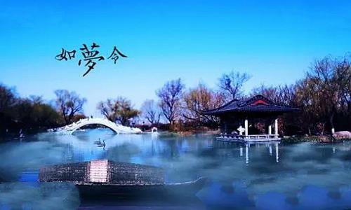 李清照的惊起一滩鸥鹭中的鸥鹭是什么动物?