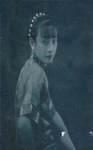 胡蝶图片