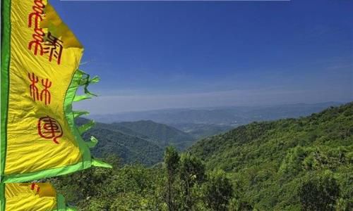 绿林山图片