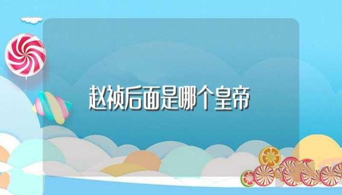 赵祯后面是哪个皇帝(这个皇帝是赵祯亲生的吗)