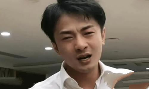 辛有志的个人资料：网红辛巴(售卖假燕窝事件)