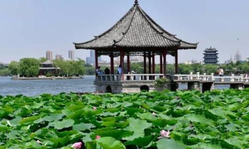 大明湖畔在哪