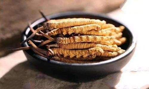 冬虫夏草是怎么形成过程?为何那么贵 冬虫夏草是怎么形成过程?为何那么贵