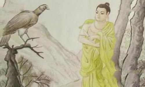 割肉喂鹰的真正含义，佛祖割肉喂鹰的故事