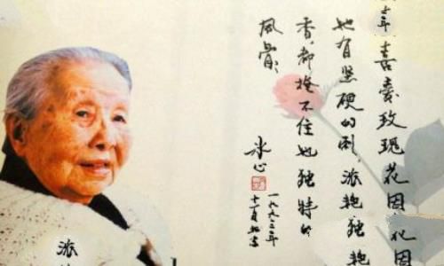 冰心简介冰心的作品冰心的原名叫什么？