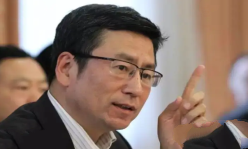 白岩松为什么被央视解雇了：没有被解雇(网络上的谣言)