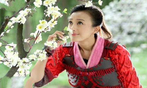 历史上大唐女将樊梨花是什么样的?揭秘真实的大唐女将樊梨花 历史上大唐女将樊梨花是什么样的?揭秘真实的大唐女将樊梨花