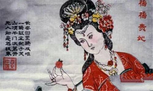 杨贵妃荔枝