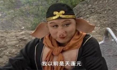 猪八戒是什么神仙：曾是天蓬元帅（取经后为成净坛使者）