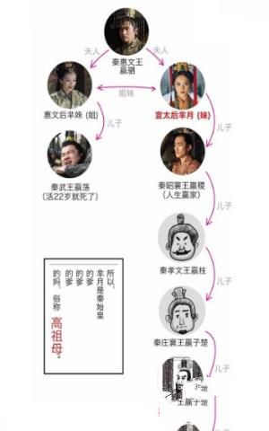 芈月嬴政关系图 最简单易懂关系图 芈月嬴政关系图 最简单易懂关系图