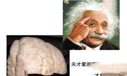 爱因斯坦智商有多高?到底有多聪明? 爱因斯坦智商有多高?到底有多聪明?