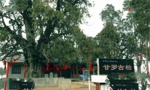 鄢陵县甘罗墓