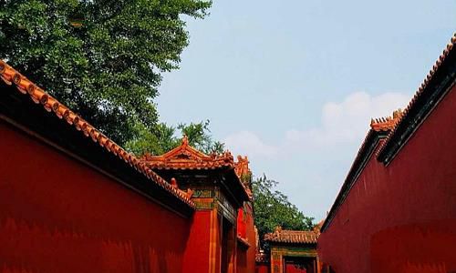 故宫屋顶为什么没有鸟粪? 故宫屋顶为什么没有鸟粪?