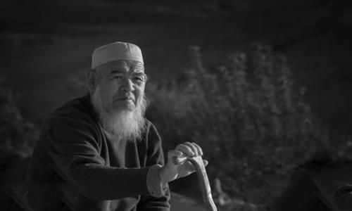 回族人为什么不吃猪肉?揭秘回族人不吃猪肉的原因 回族人为什么不吃猪肉?揭秘回族人不吃猪肉的原因