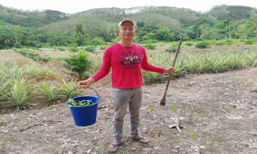 萨瓦迪卡什么意思(萨瓦迪卡的正确用法)
