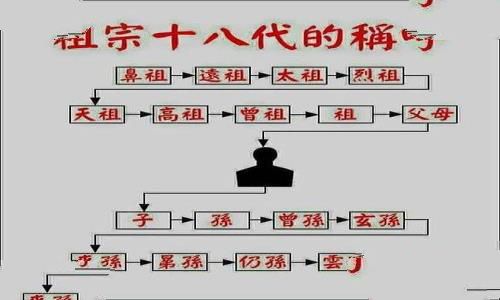 芈月嬴政关系图 最简单易懂关系图 芈月嬴政关系图 最简单易懂关系图
