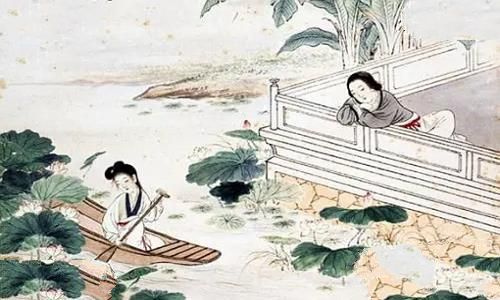 李清照的惊起一滩鸥鹭中的鸥鹭是什么动物?