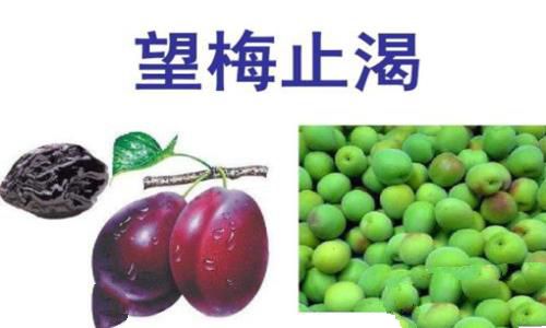 望梅止渴具体什么意思?利用望梅止渴来看曹操是一个怎样的人 望梅止渴具体什么意思?利用望梅止渴来看曹操是一个怎样的人