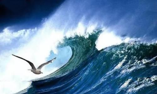 “我是海燕，谁也阻挡不了的海燕”一一 顾一野