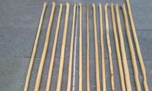 穆桂英用的降龙木到底是什么?历史上真有降龙木吗?