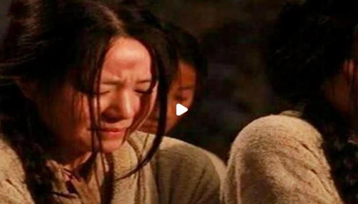 靖康之耻耻到什么程度,靖康耻到底有多耻