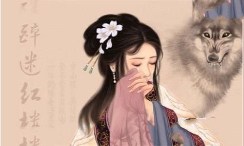 贾迎春画像