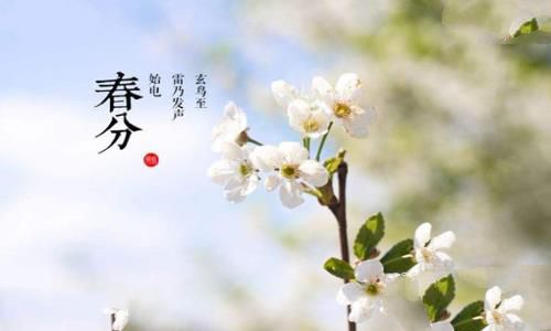 春分为什么要竖蛋?
