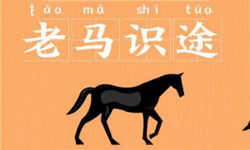 老马识途的故事，老马识途的意思