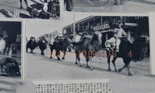 剑仙李景林怎么死的? 剑仙李景林怎么死的?