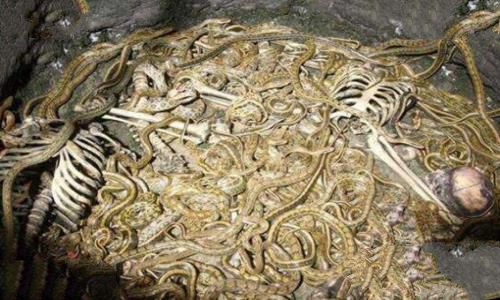 虿盆之刑的由来是怎样的? 虿盆之刑的由来是怎样的?