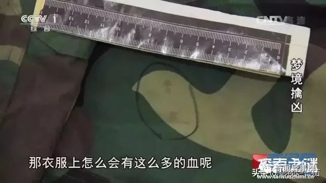 到底有没有麒麟这种生物？