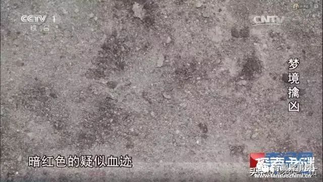 到底有没有麒麟这种生物？