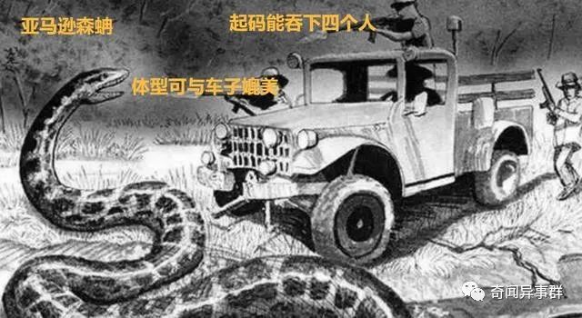 盘点世界上最硬的五种生物