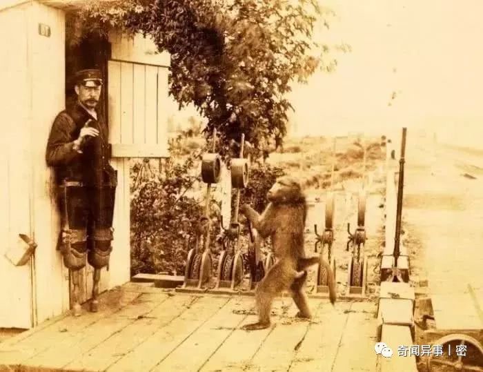1891年美洲出现神秘“大气层生物”，报纸3次报道，是传说中的龙？