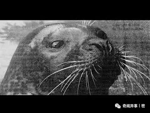 腊月二十三小年，牢记“1要祭，2要吃，3要做”，尊重传统，龙年发财又顺利