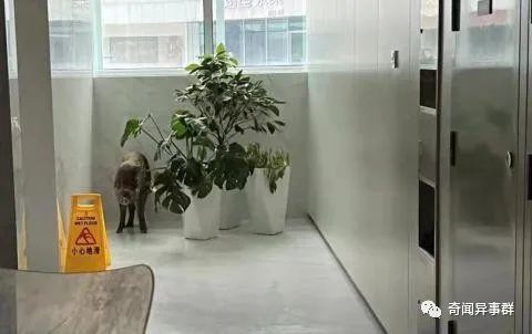 “锄禾日当午”的作者，吃一道菜杀300只鸡，长大沦为贪官，遭到百姓唾骂