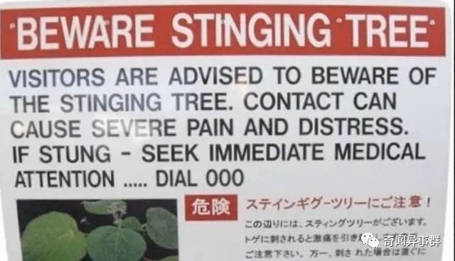 人的力气究竟有多大？百年前这位力王留下骇人记录，至今没人打破