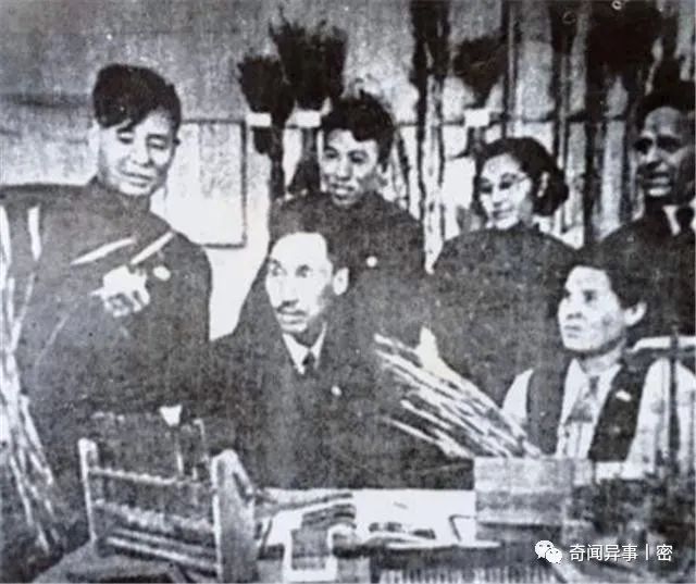 人类从未涉足的秘境之地，未见过的神奇动物和奇葩物种，大开眼界