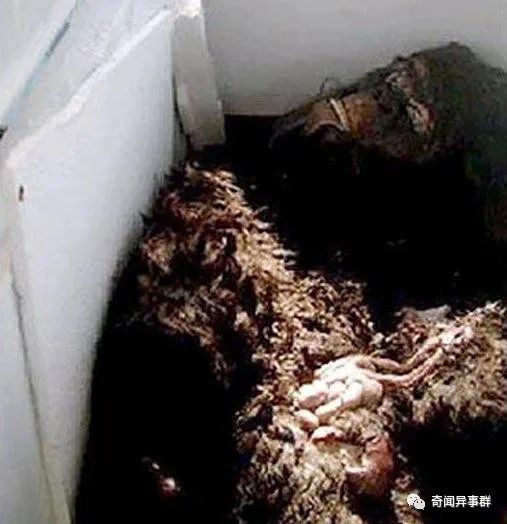 人类神秘失踪现象：兰克事件