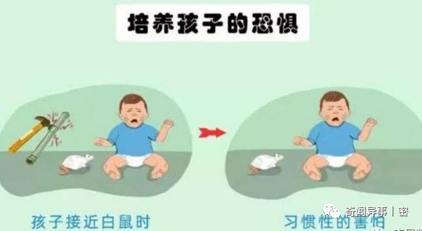人类历史上曾经出现过的5个怪异实验