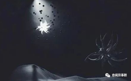 十个趣味冷知识，你不一定知道的世界之最