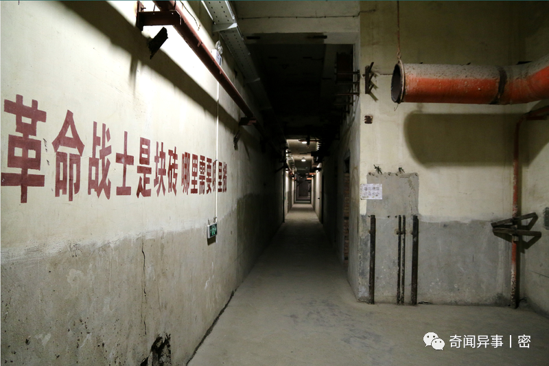 十个看似不符合科学逻辑，却又真实存在的场景