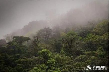 世界上最穷的国家，穷的只能吃大鱼大虾，整个国家就一条公路