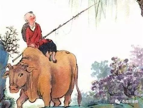16个难以置信的事实，真的是大千世界无奇不有啊！
