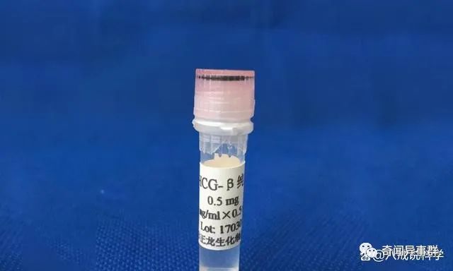 世界上曾被用来替代货币使用的9大事物：贝壳、瓶盖，甚至是尿液！