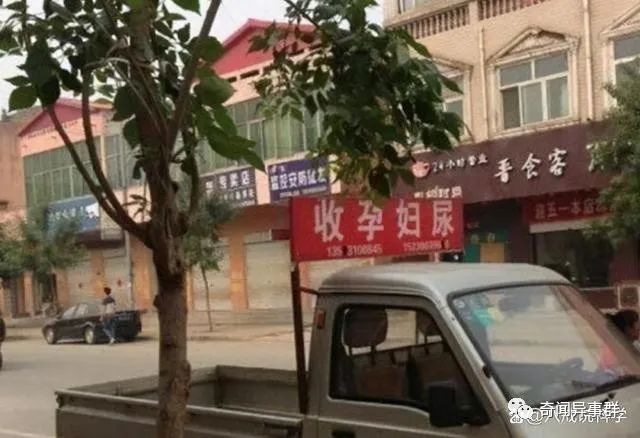 世界上曾被用来替代货币使用的9大事物：贝壳、瓶盖，甚至是尿液！